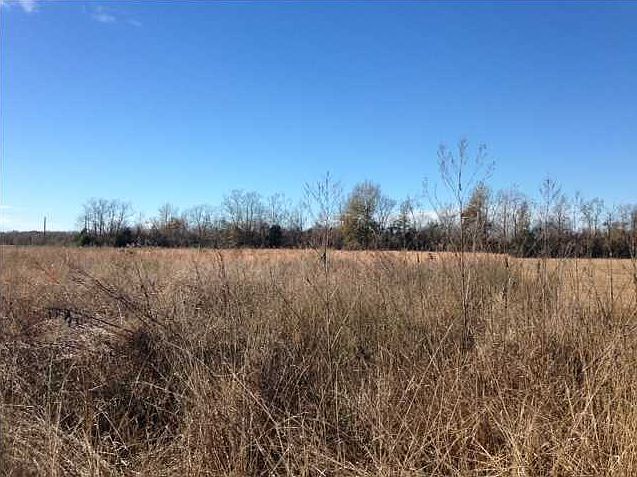 2nd image of 851 Link Rd
