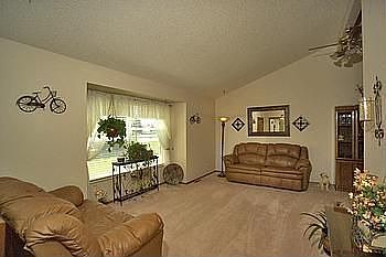 Vaulted Living Room