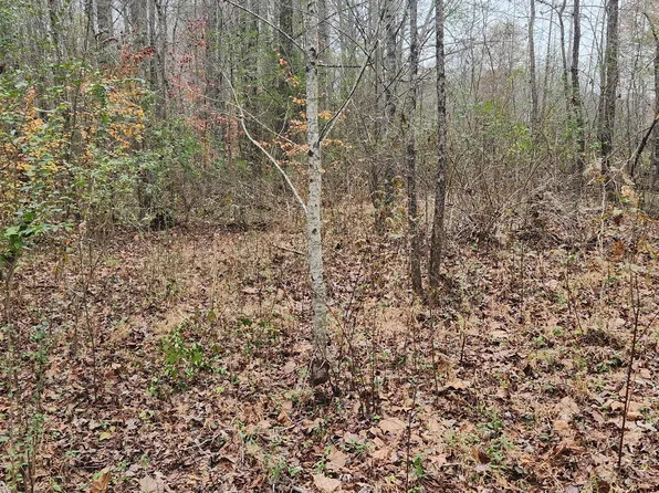 2870 Divider And Natchez Trace Rd, Camden, TN 38320