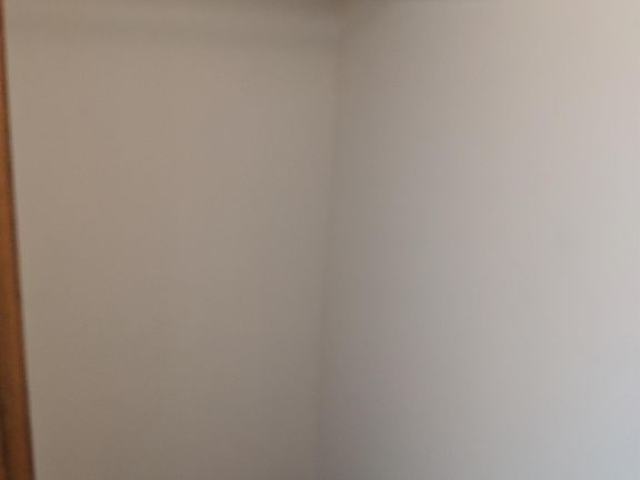 Bonus storage closet