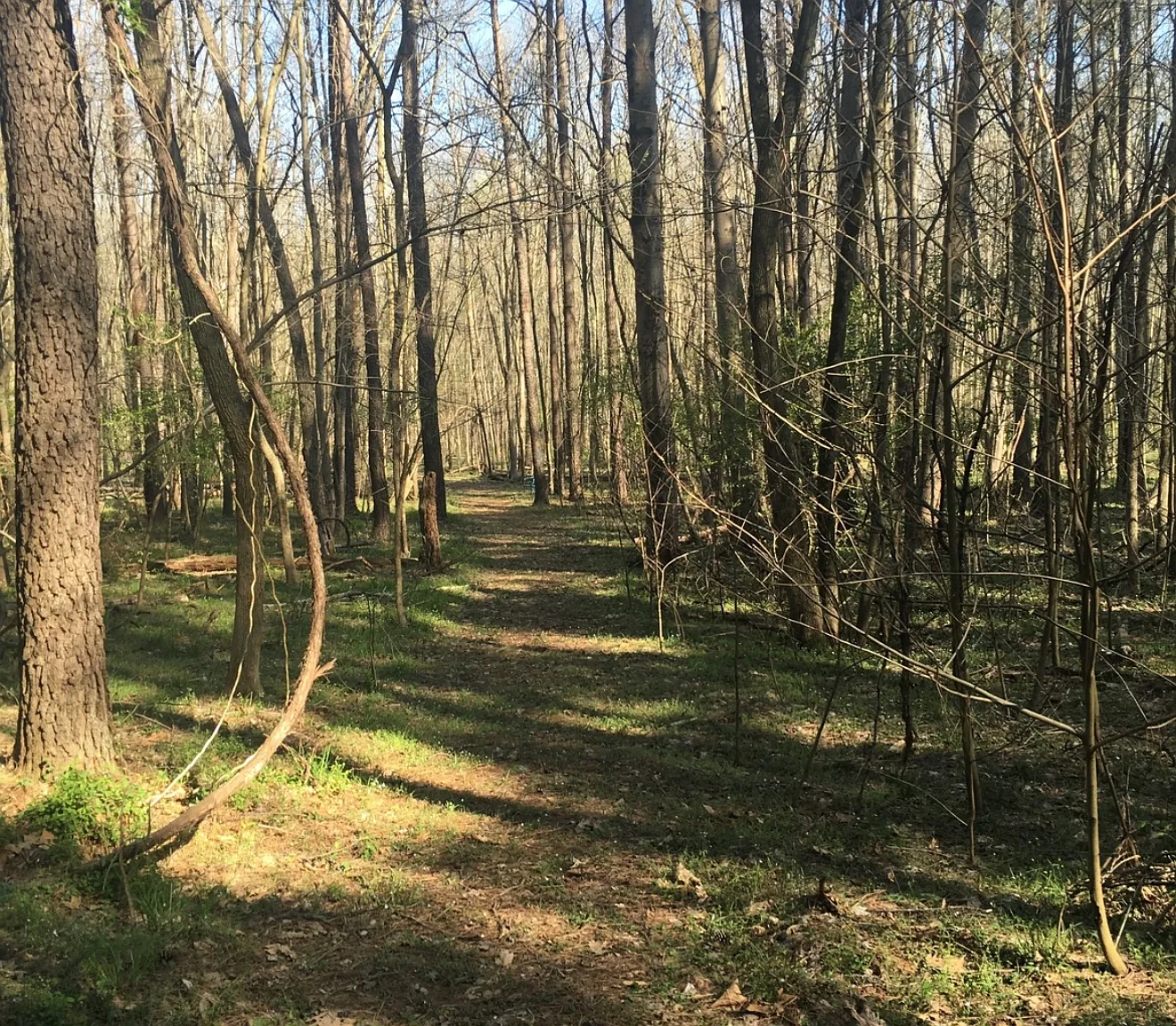 Sanders Ln, Catharpin — Photo 4
