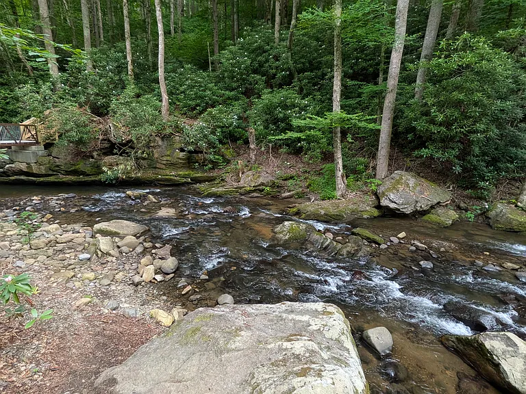 326 Cove Creek Rd — Photo 11