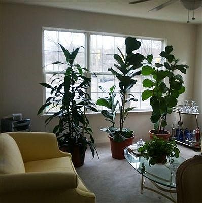 End Unit Living Room