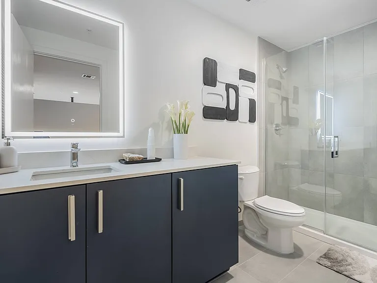 Bathroom and Walk-in Shower