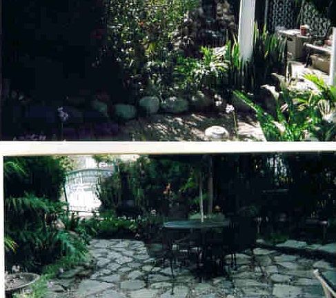 Pond & Courtyard
