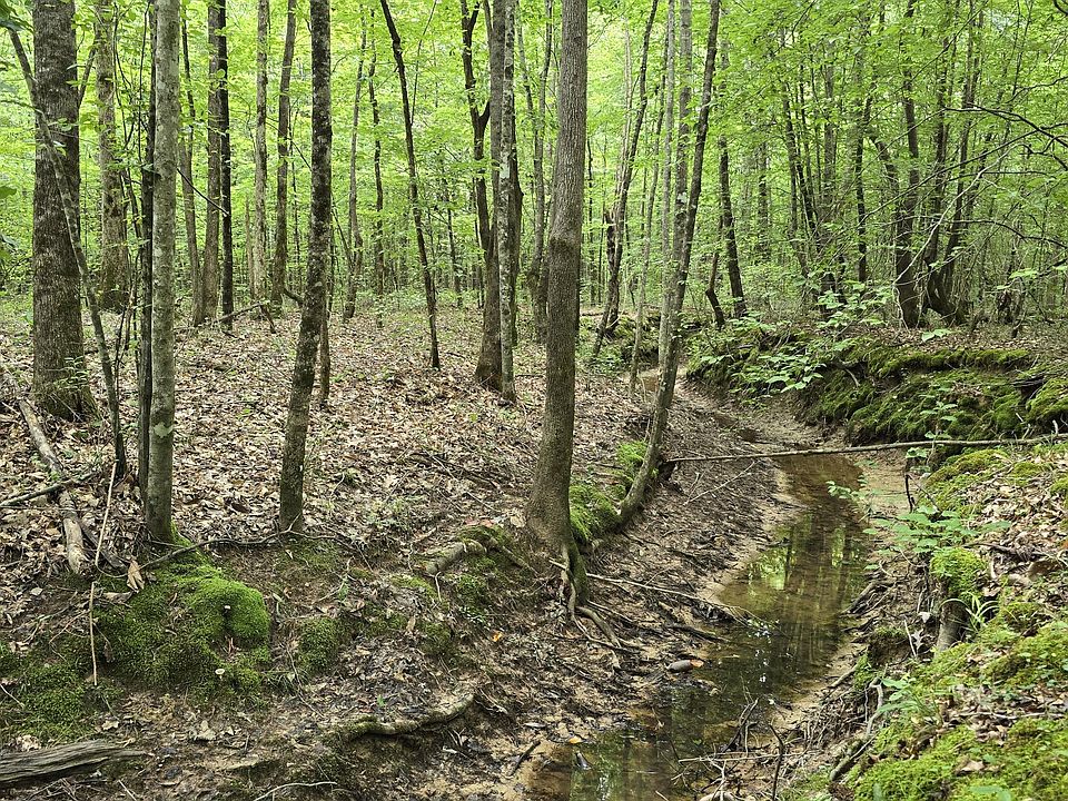 1st image of Pearson Rd