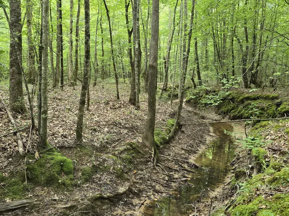 Pearson Rd, Stewart, MS 39767