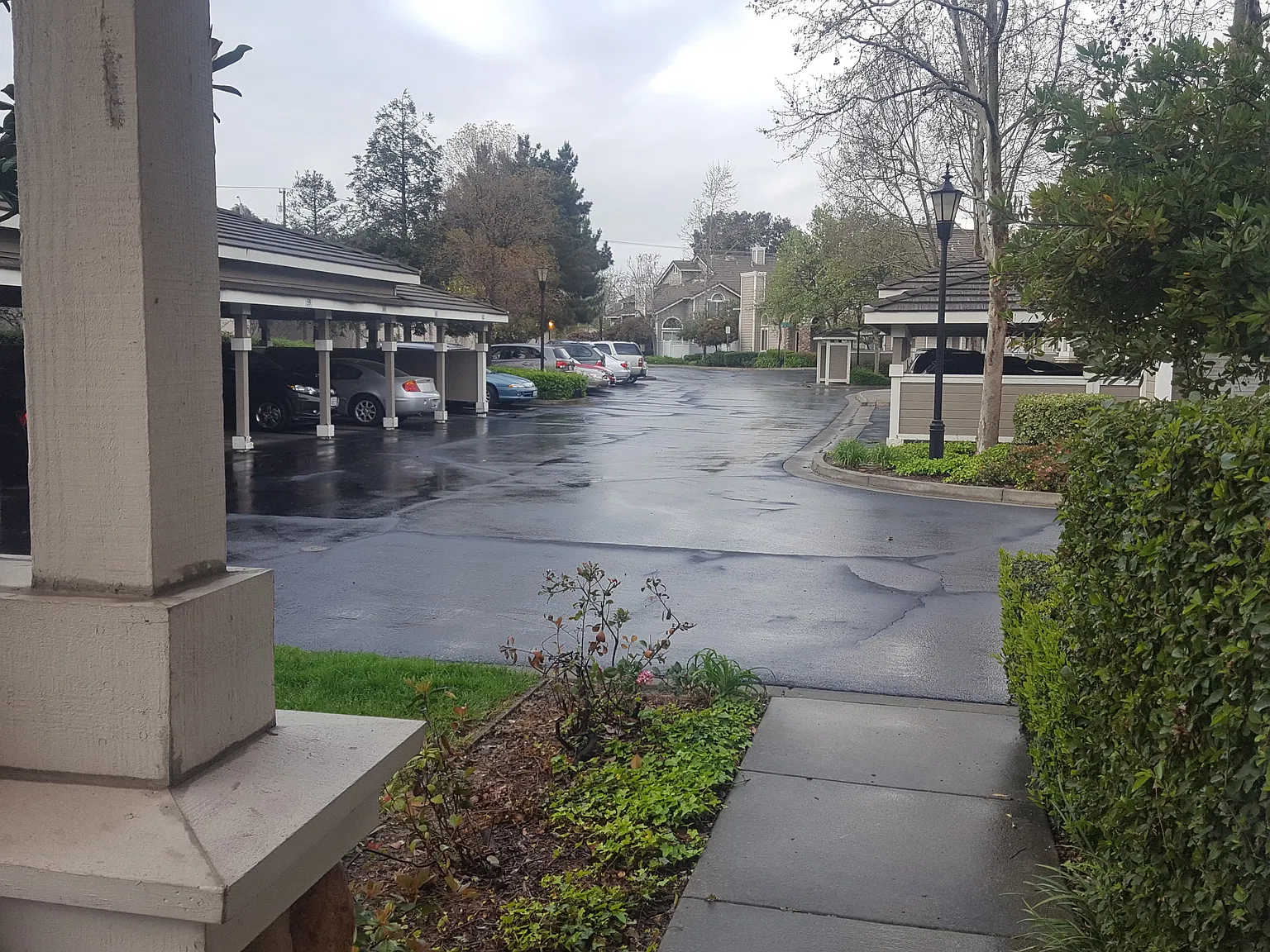 3 bed, 1309 sqft, $3,900 — Photo 4