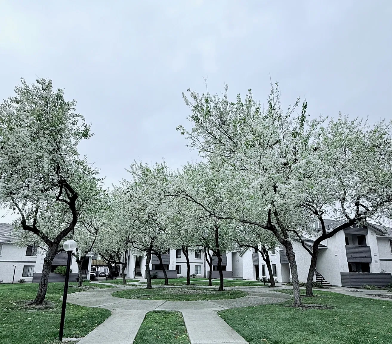 Spinnaker Pointe — Photo 1