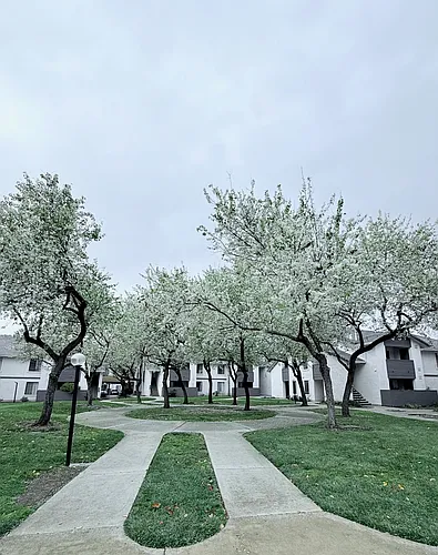 Spinnaker Pointe Photo 1