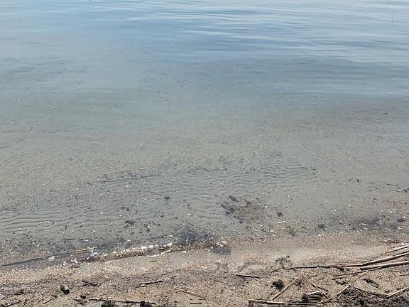 3rd image of 4 Bass Harbor Rd