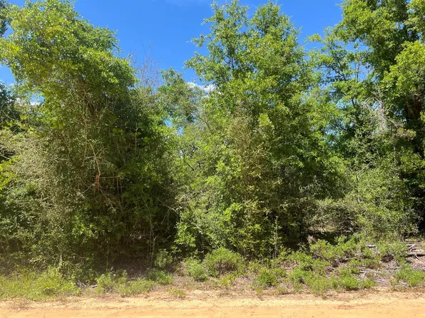 0 Hocking St, Alford, FL 32420