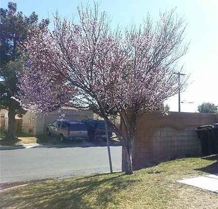 2nd image of 2301 Shady Hill Ave