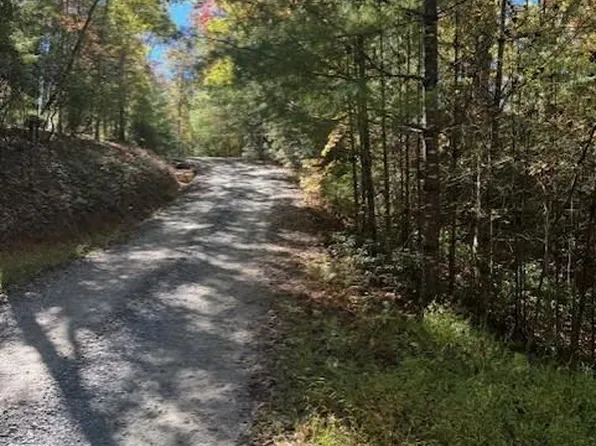 0 Hillbilly Holw #12, Blue Ridge, GA 30513