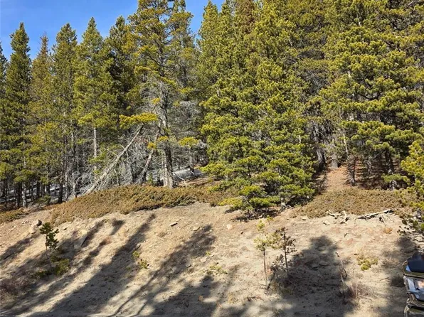 Lot 680 Alice Road LOT 680, Idaho Springs, CO 80453