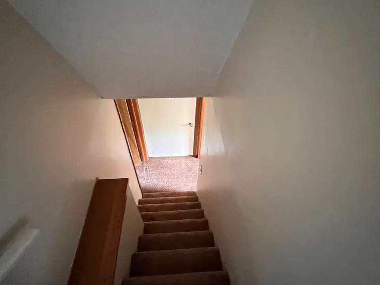 649 Bob White Ln — Photo 14