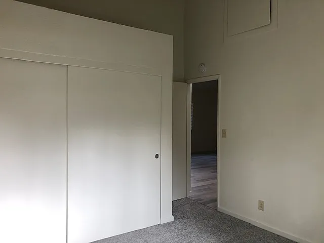 42 Pine Tree Cir — Photo 6