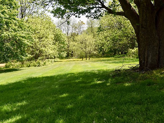 Large back yard with plenty of room for outdoor play and beautiful shade trees