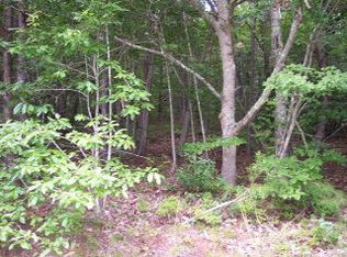 LOT 1 Green Cove Rd #1, Brasstown, NC 28902