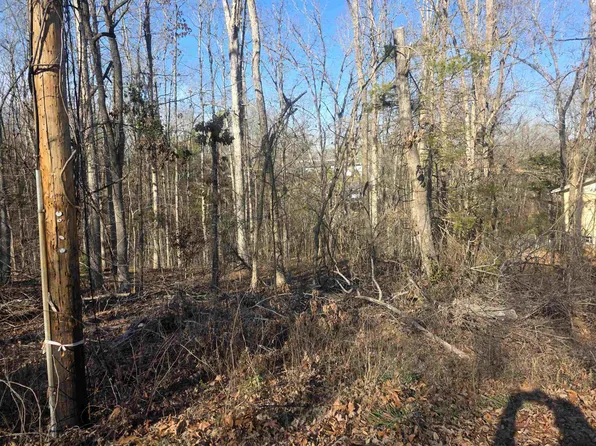 L-4-B Powhatan Dr, Cherokee Village, AR 72529