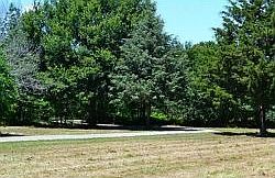 4th image of 247 County Road 2205