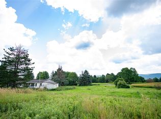 2009 Dunk Hill Rd, Walton, NY 13856