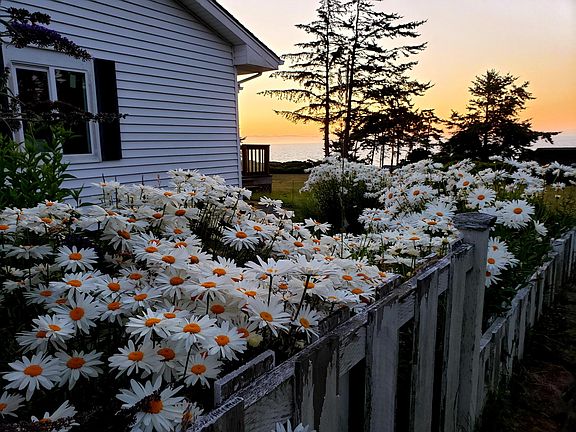 3rd image of 568 Seaside Dr