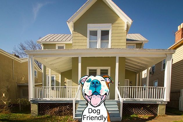 All pets welcome!