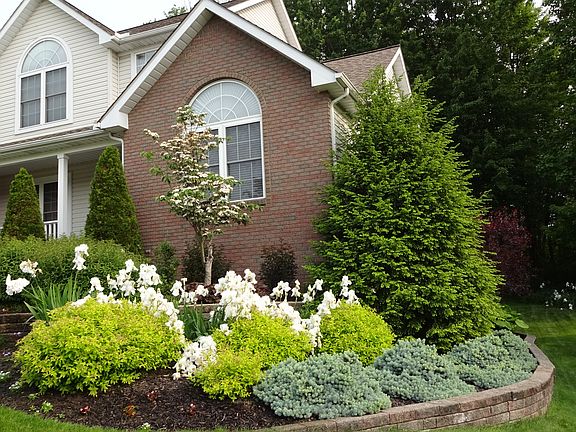 4th image of 10047 Brookfield Dr