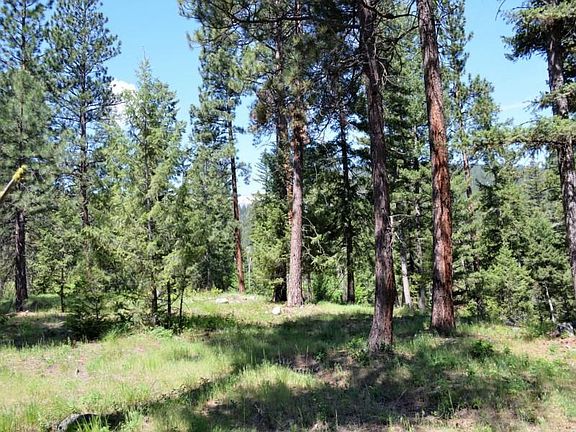 3rd image of Nhn Alder Springs Ln