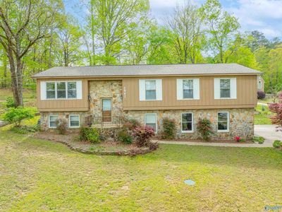 1981 Broughton Spring Rd, Southside, AL, 35907