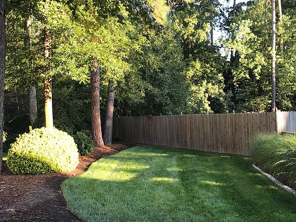 Back yard and privacy fence