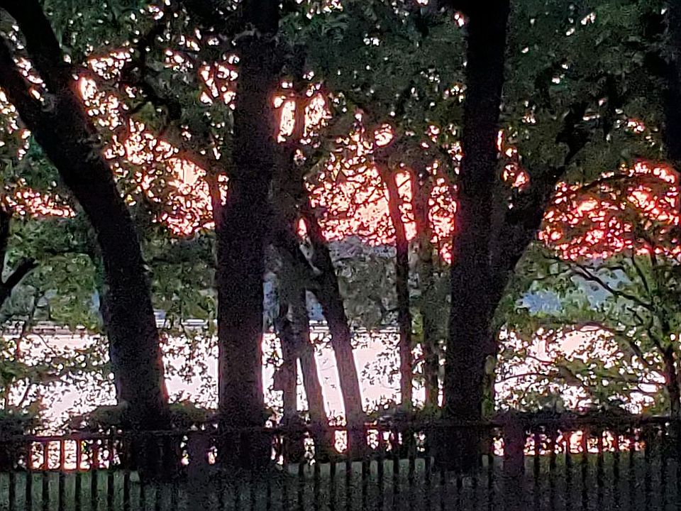 2nd image of 295 Dogwood Ln W