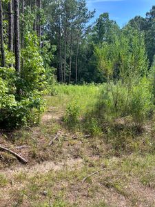 0 Maple Rd, Petal, MS, 39465