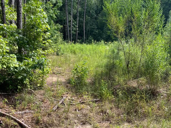 0 Maple Rd, Petal, MS 39465
