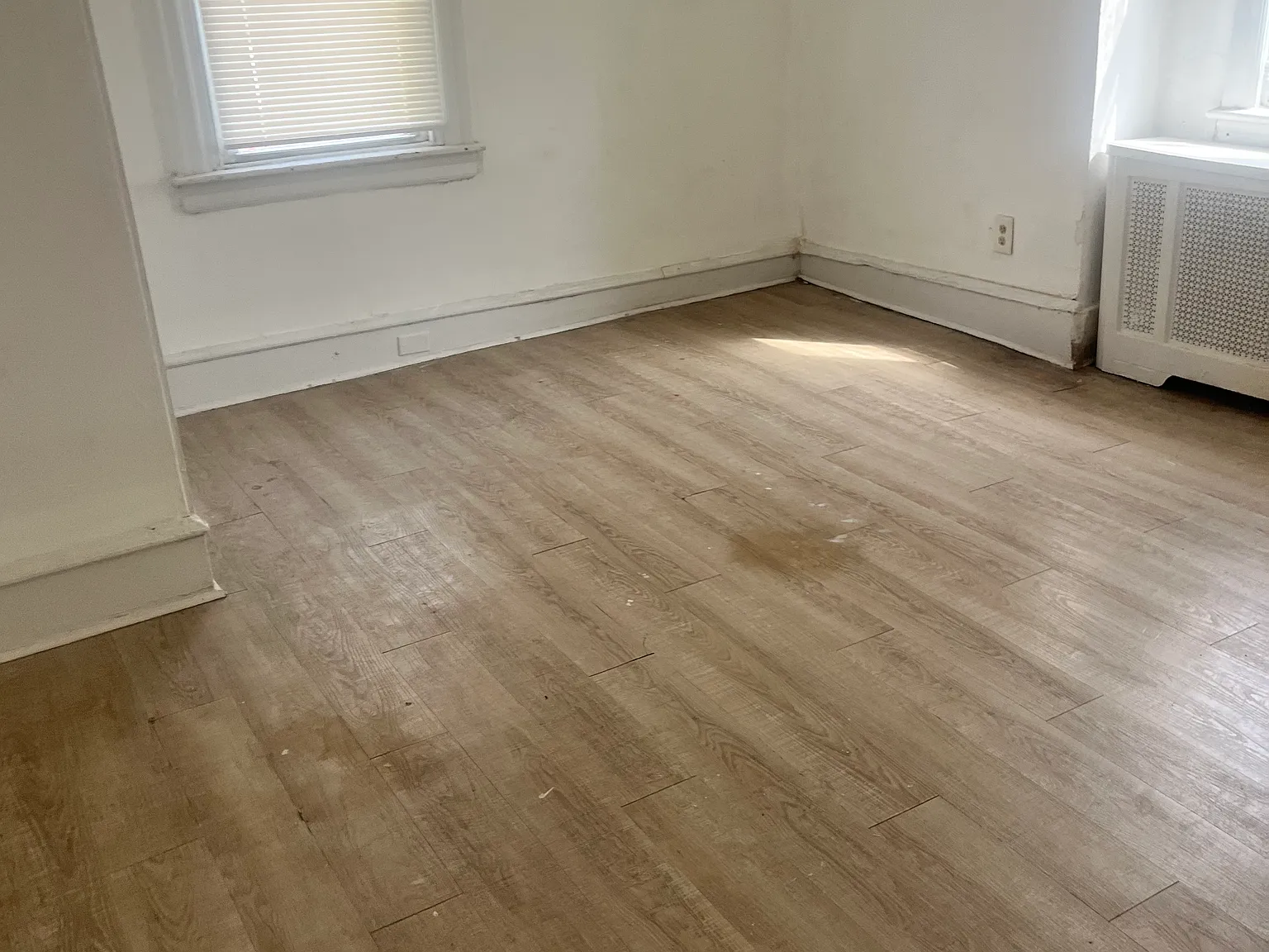 1 bed, 1300 sqft, $1,150 — Photo 3