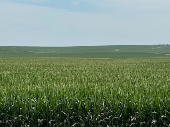 E 152nd St S, Lynnville, IA 50153