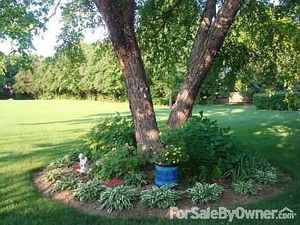 Back yard
						:
						Park like setting on 1.9 acres MOL