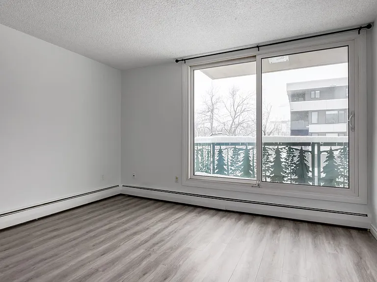 1512 15th Ave SW — Photo 20