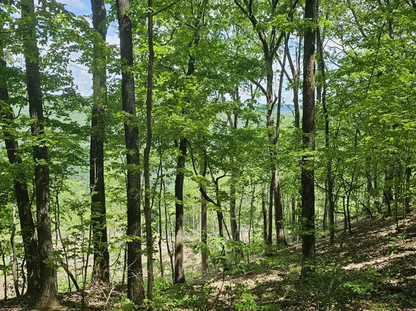 14 Higgenbotham Turkpike Flt, Altamont, TN 37301