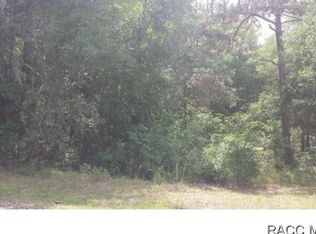 980 S Arlene Ave, Inverness, FL 34452