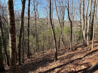 LT 62 Gobblers Knob Laurel, Suches, GA 30572