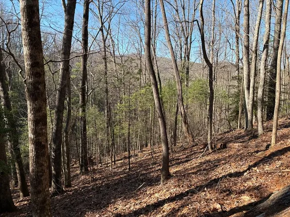 LT 62 Gobblers Knob Laurel, Suches, GA 30572