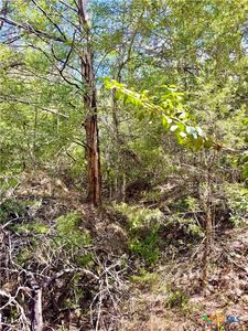 Rabel Rd, Rosanky, TX, 78953