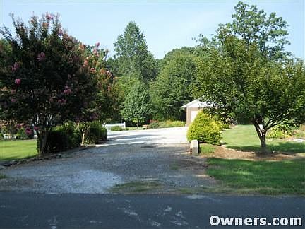 Looking in driveway