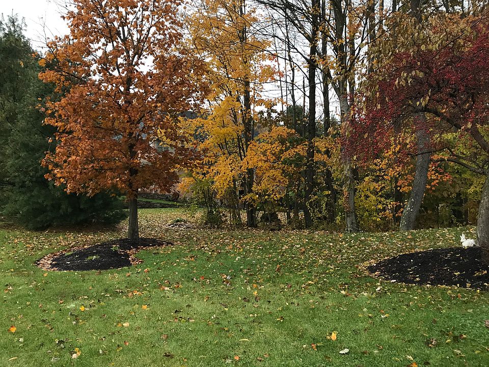 2nd image of 121 Maplevue Dr