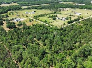 1875 Oak View Farms Rd LOT 12, Osteen, FL 32764