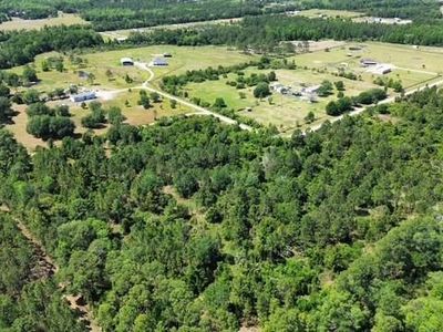1875 Oak View Farms Rd LOT 12, Osteen, FL, 32764