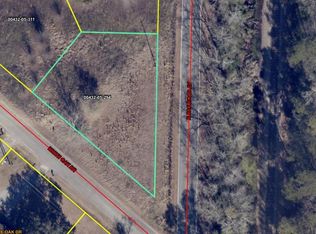 TBD N Railroad Ave., Johnsonville, SC 29555