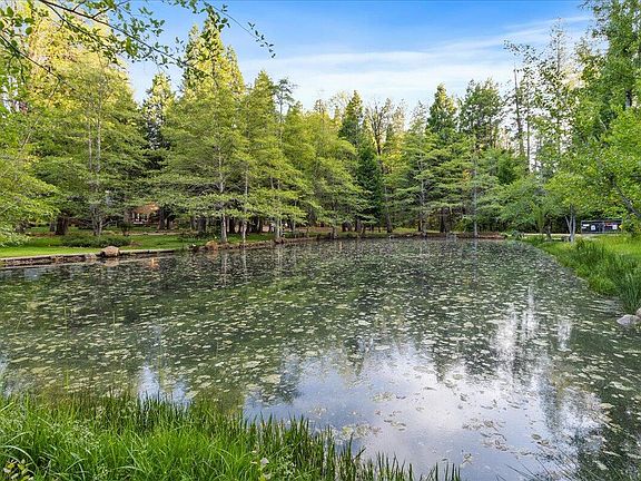3rd image of 32939 Piney Woods Ln
